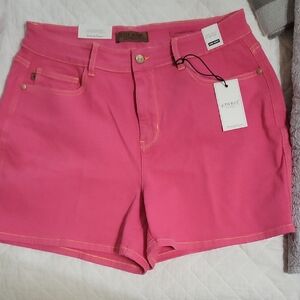 Judy Blue High Waist Pink Shorts